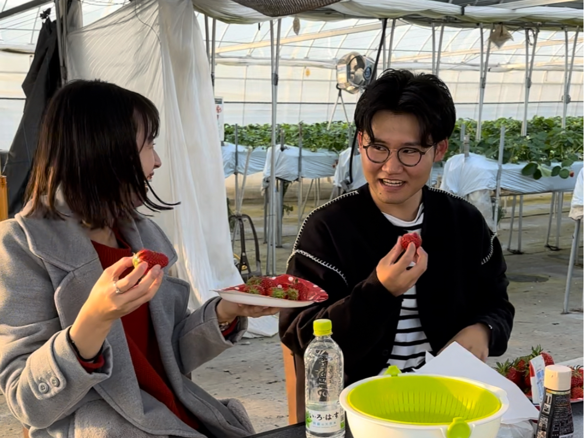 【徳島 いちご狩り】<カップル限定プラン♪お2人で200円引き&お土産いちご付き...