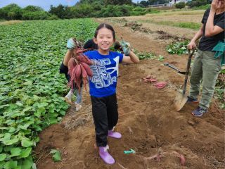 サツマイモがたくさん掘れました(^^♪