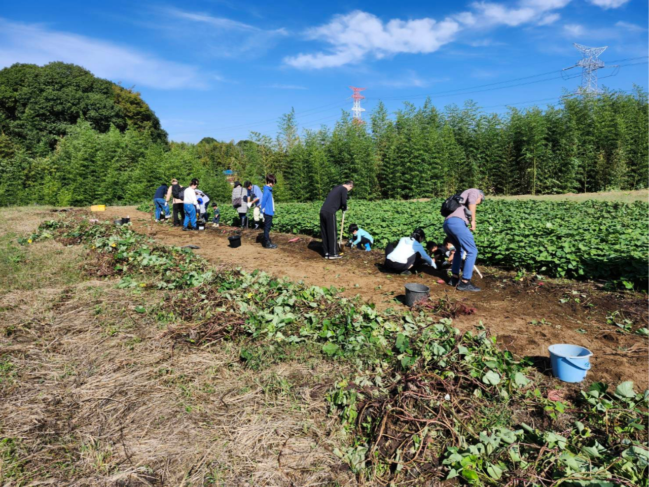 @͈̂JłACoƊт̐オĂ܂B