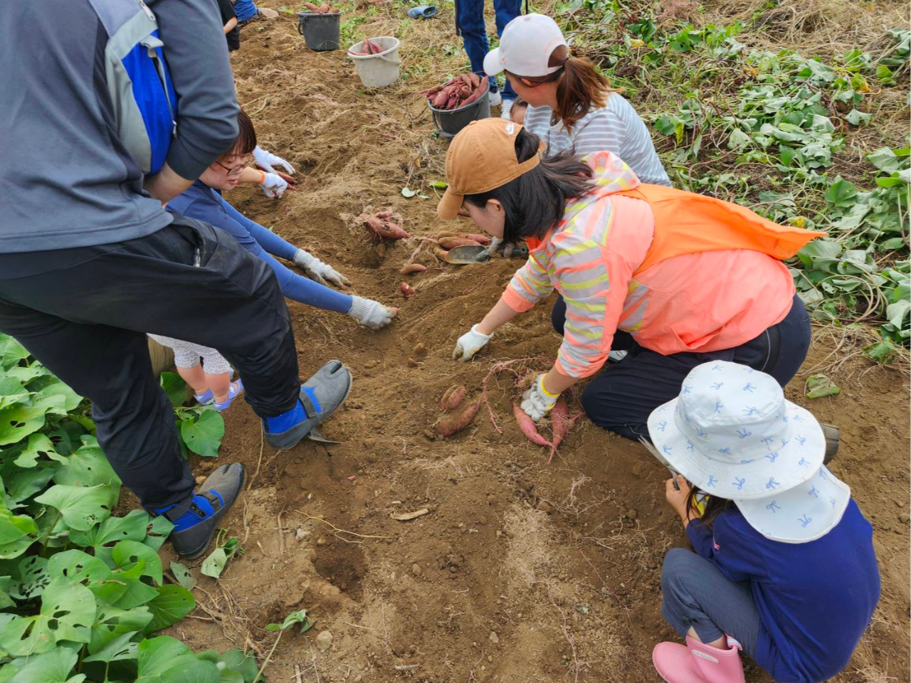 CĂCȂ悤Ɏ肩y悯Ă܂B