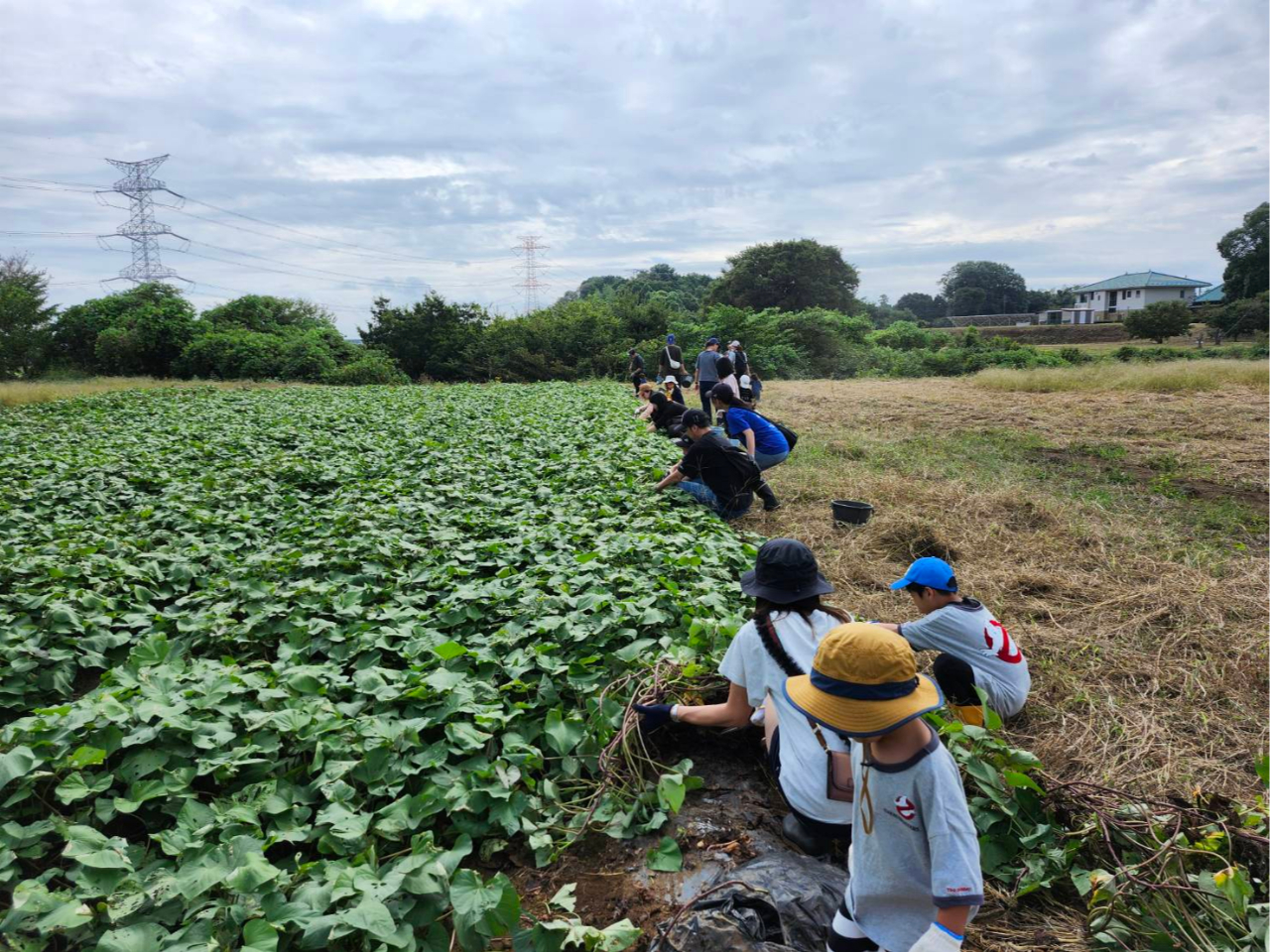 Tc}Ĉ͐؂Ăǂ܂BʂuÂ鎮vɂ邪ȂĂ܂B