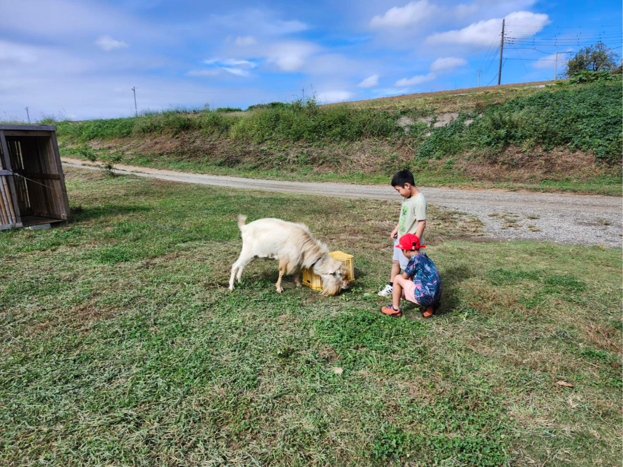 M݂̂ьNƐGꍇĂ܂B߂Â߂ƂԂĂ̂ŋCĂ((+_+))