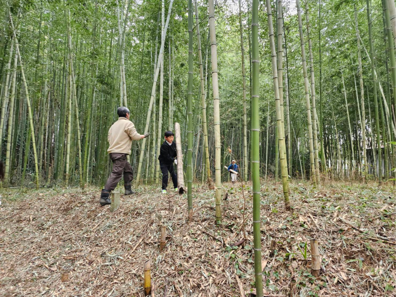 G߂ɂĂ͒|т̐s܂B|ƍrĂ܂̂ŁAIȊԔs܂B