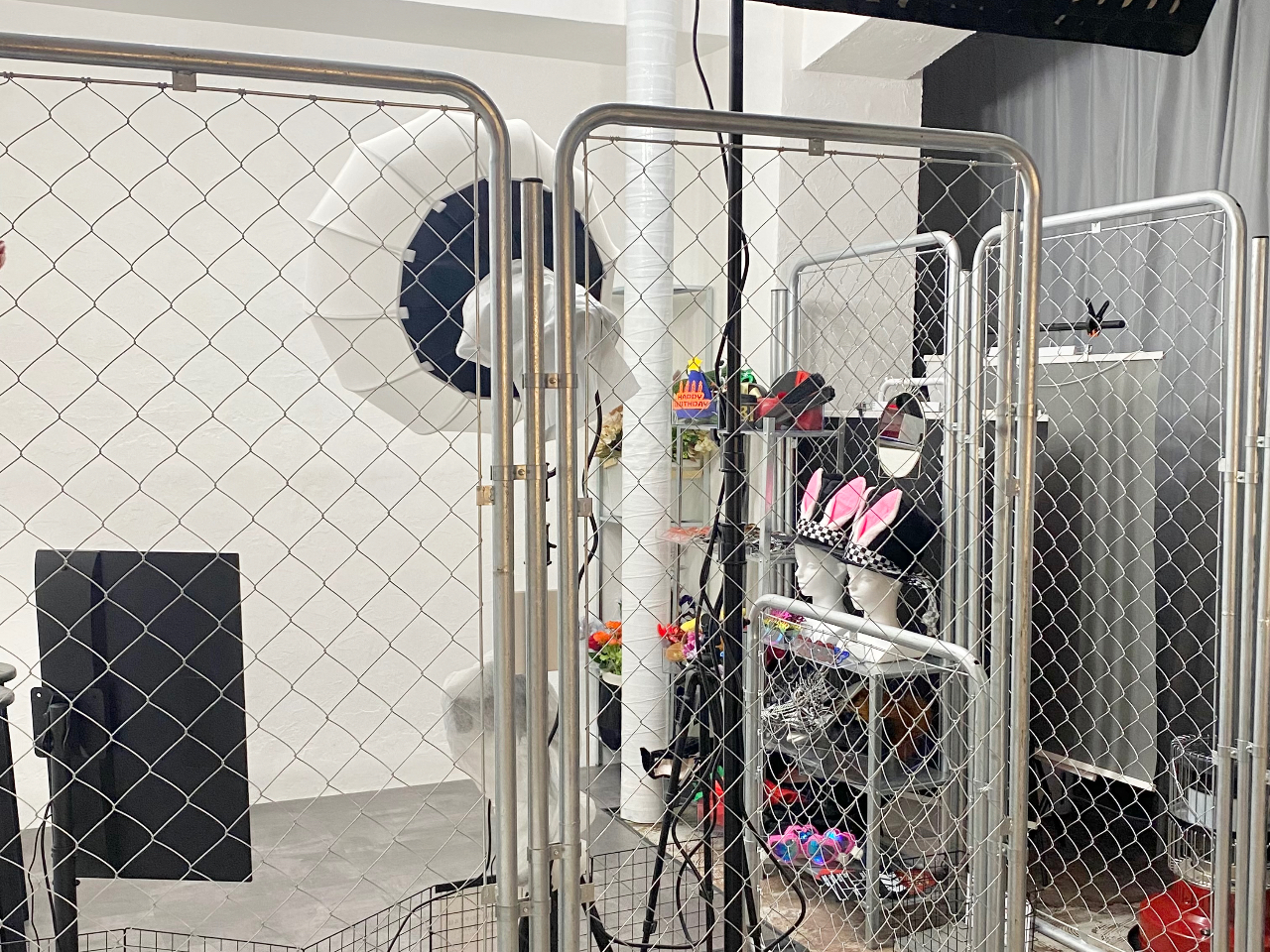 Studio B́A50120ȏ̖LxȎBeg聝 o[܂B