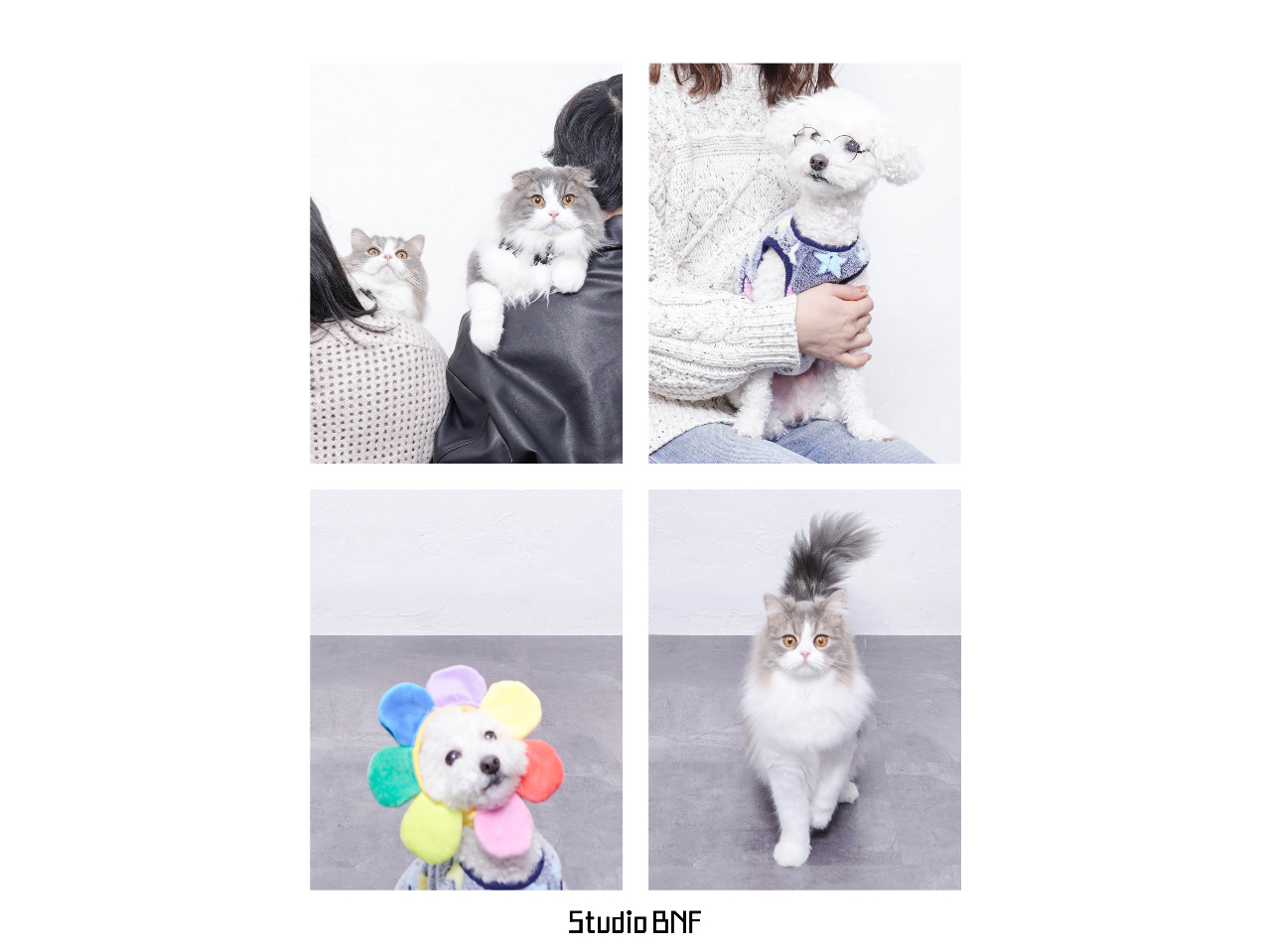 ̑Aybg\ȎBev܂Bڍׂ͓XHPB