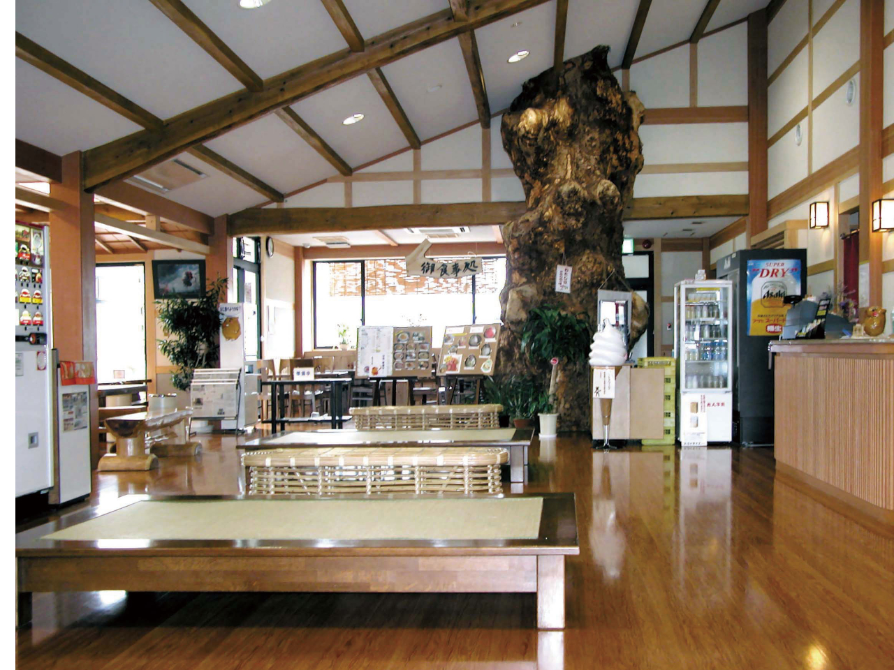 r[ł́A1000N̂Ƃ̖؂ql}܂B