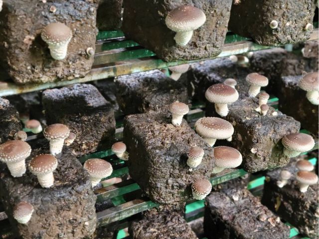 すくすく成長中♪