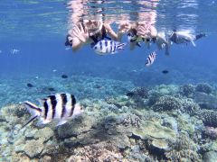 大人気観光スポット「古宇利島」からボートで行くシュノーケリング♪専用ボートでポイントへ直行!