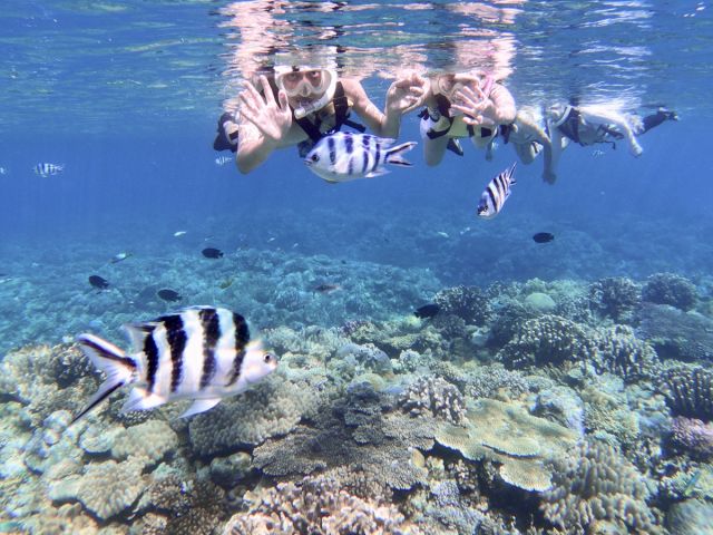 大人気観光スポット「古宇利島」からボートで行くシュノーケリング♪専用ボートでポイントへ直行!