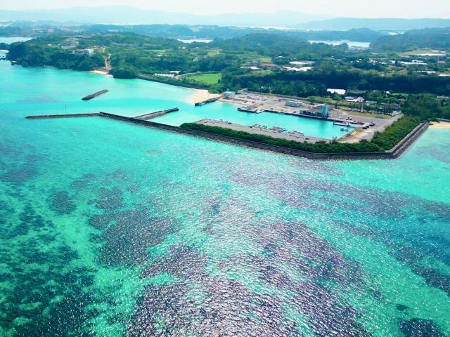 パラセーリングの集合場所は古宇利島の向かいにある「なきじん漁港」港の中までエメラルドグリーンでテンション↑↑