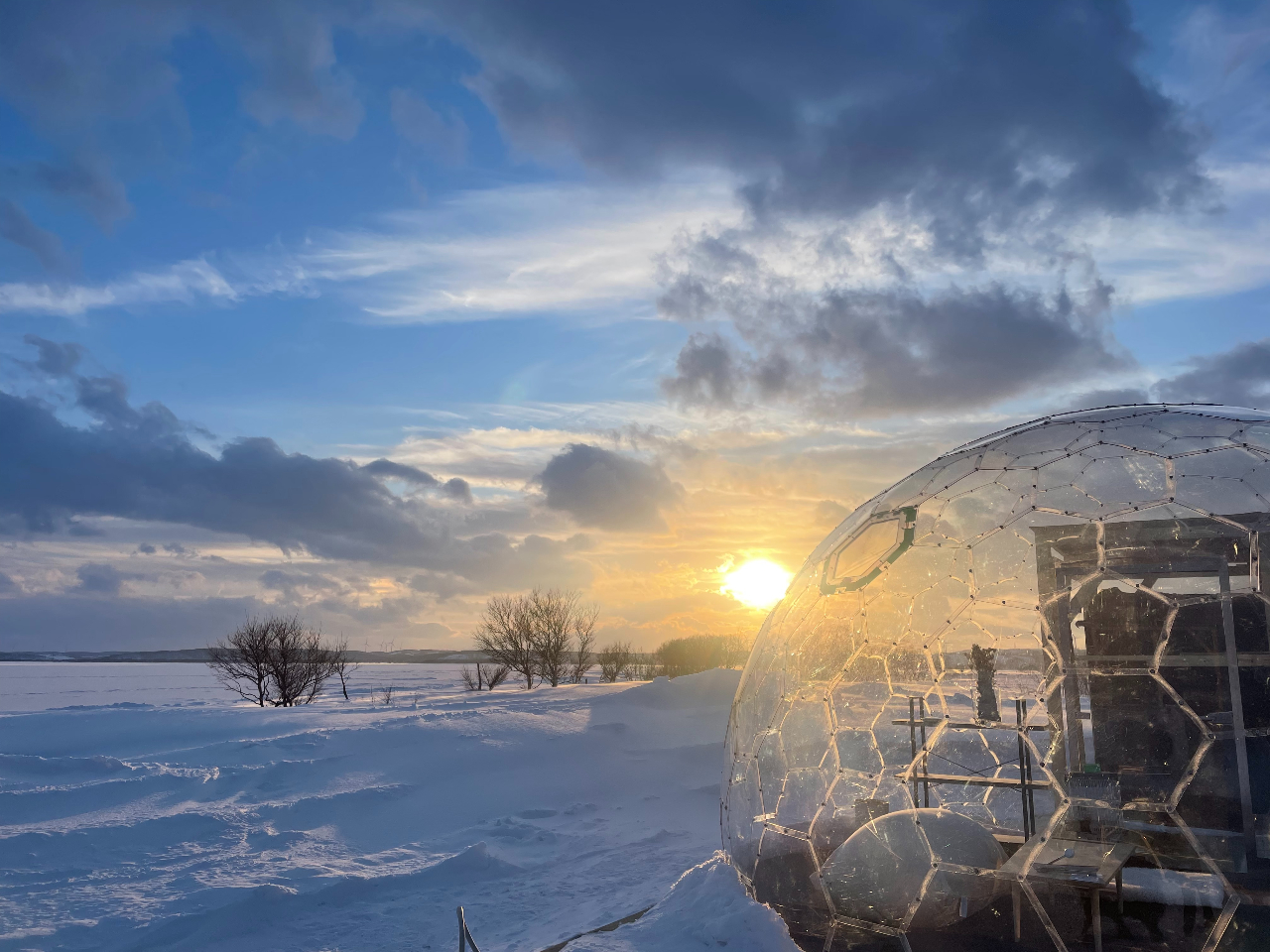 �T�E�i��͋x�e�p�h�[���e���g�ł�����肨���났��������