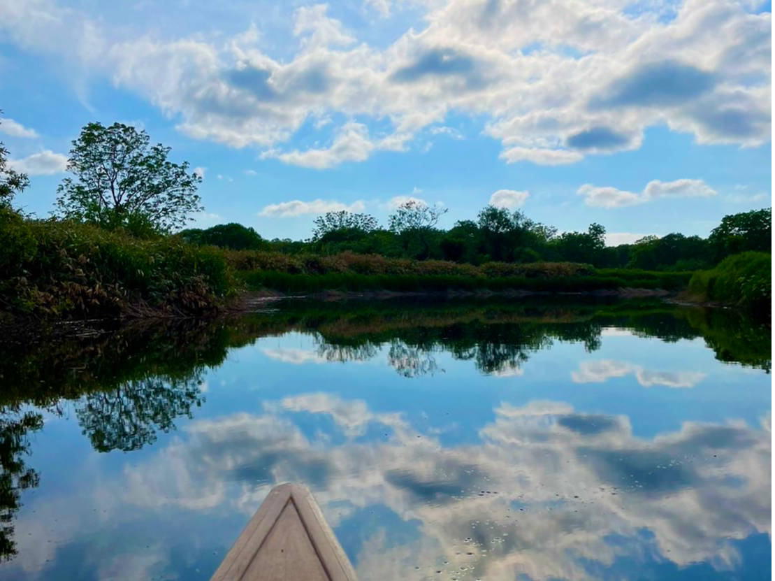 SEAMORE activity�̎ʐ^3