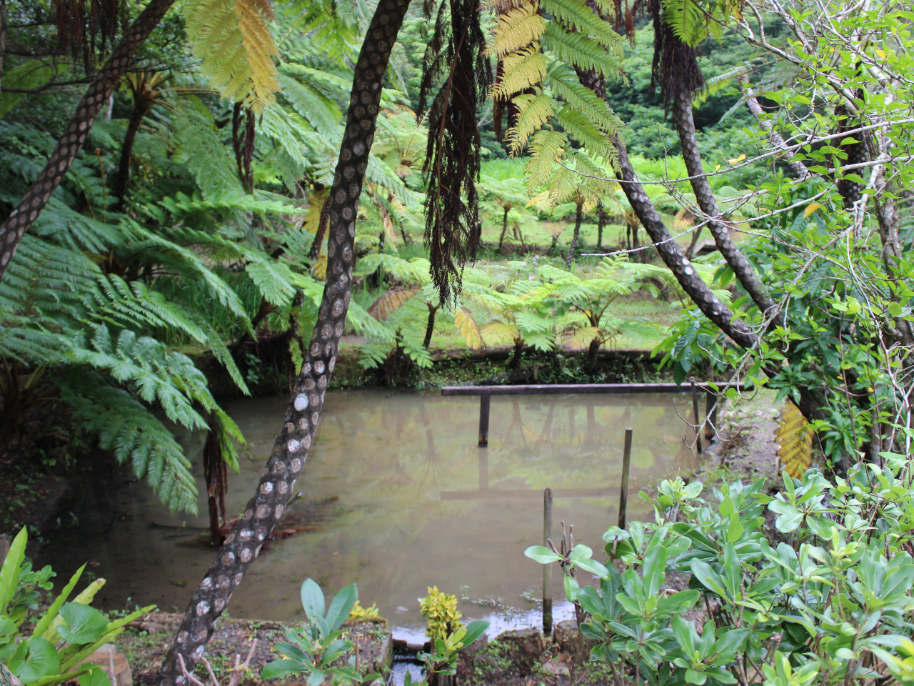 �哇�ۂ̓D���߂Ɏg����D�c