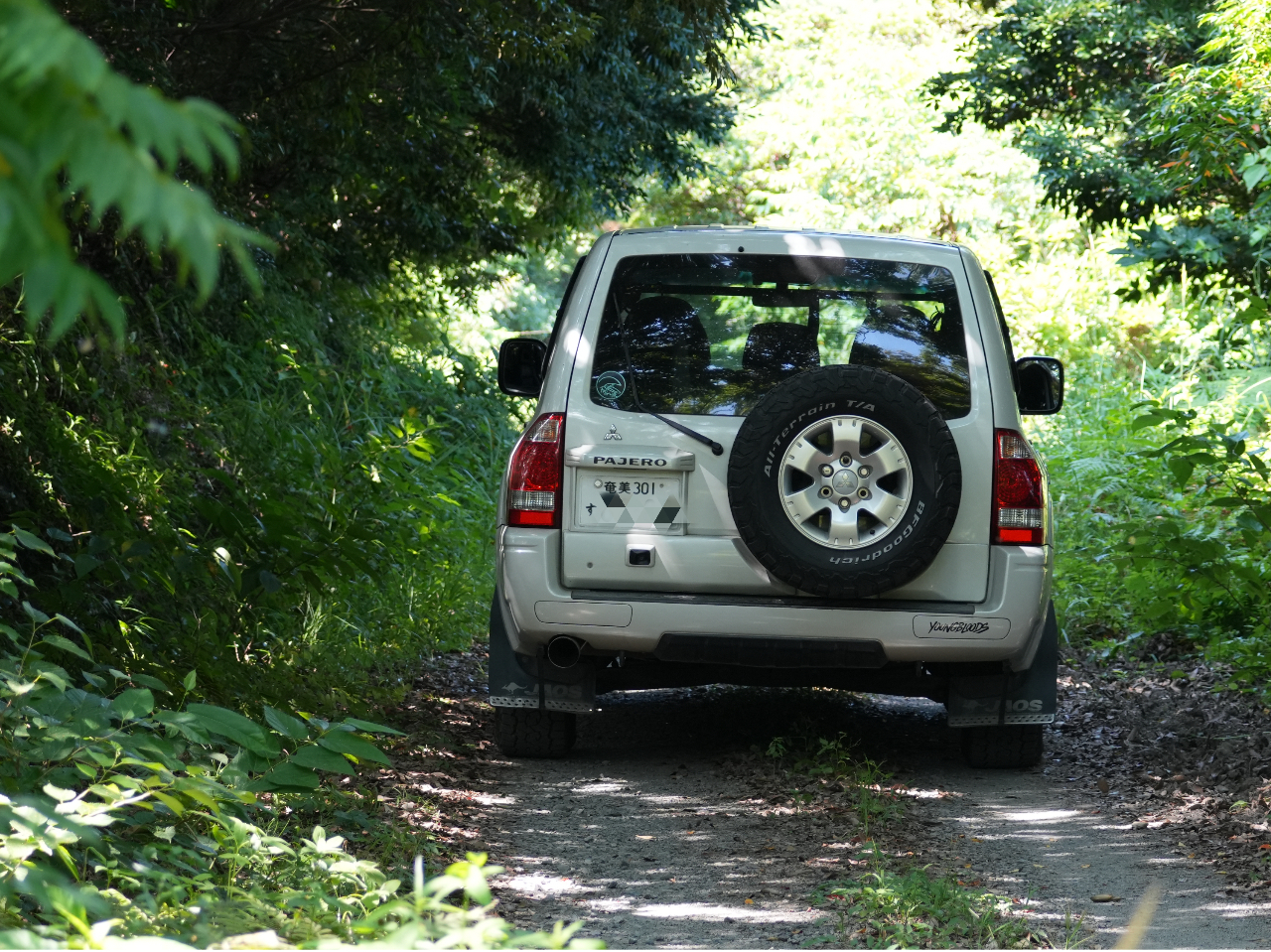 �l��ŎR�̃o�b�N�g���b�N��i�݁A�����̎��R��T��