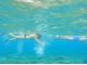 透明度の高い奄美の海でシュノーケリング