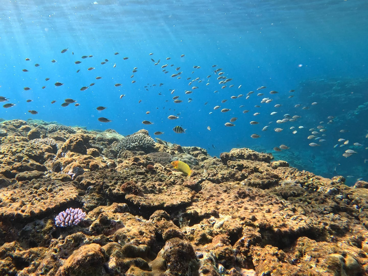 Amami Tours�̎ʐ^2