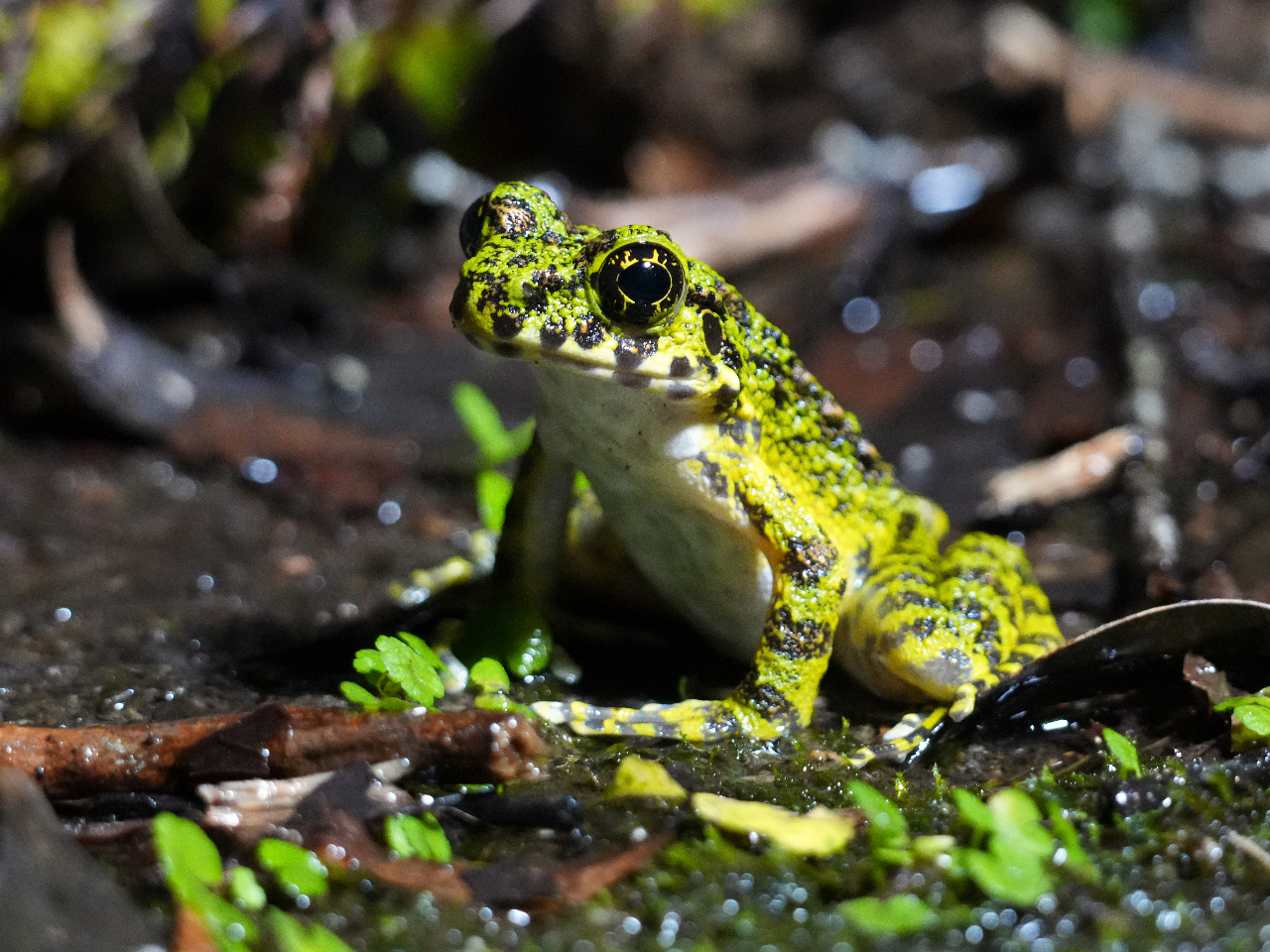 Amami Tours�̎ʐ^3