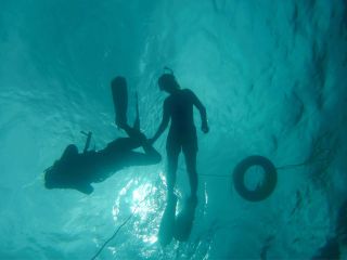 珊瑚礁広がる『奄美ブルー』の海 ウミガメや色とりどりの魚たちの世界を覗いてみよう!