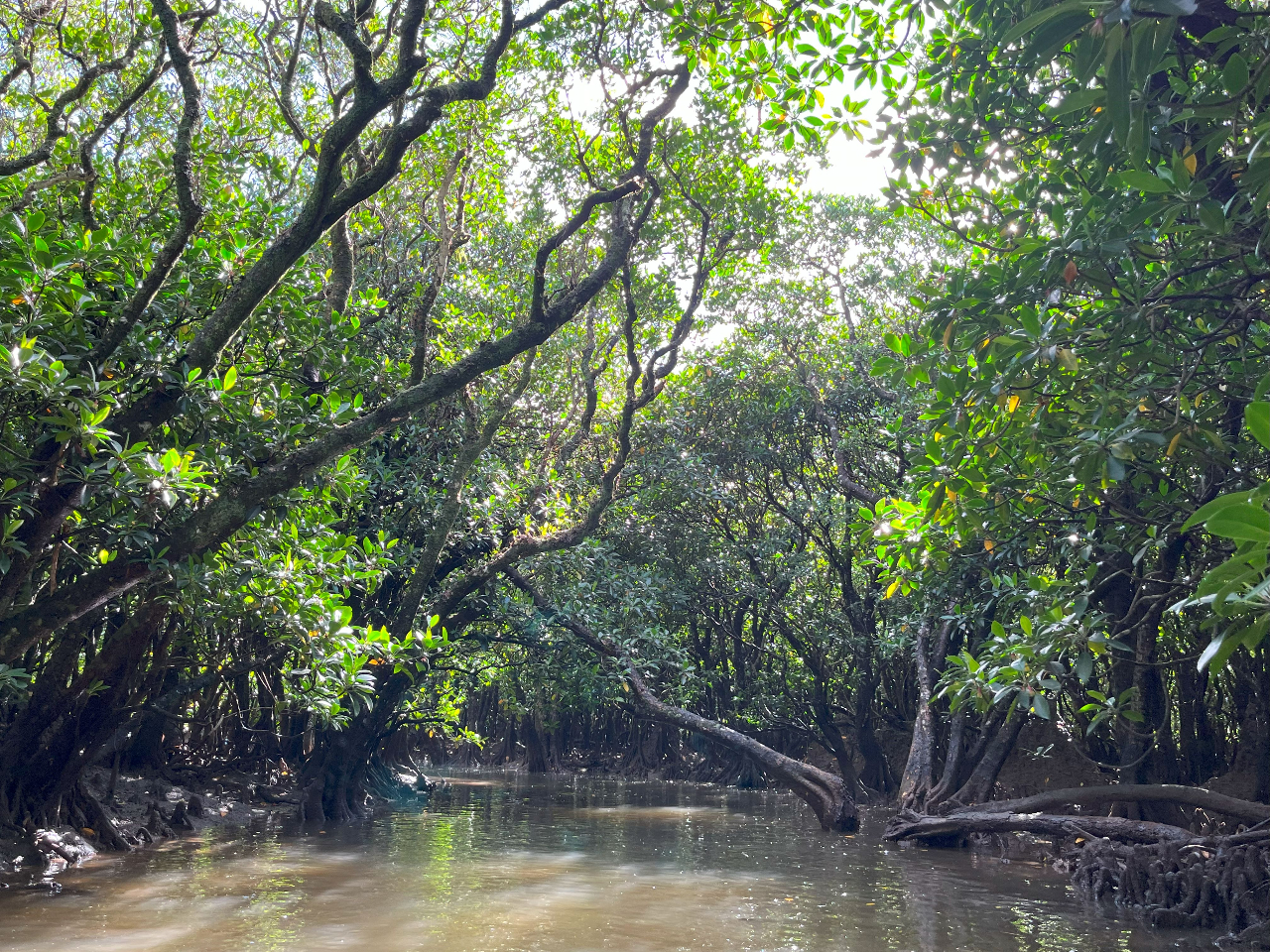 D͌ɍL鍑2Ԗڂ̍Lȃ}O[u