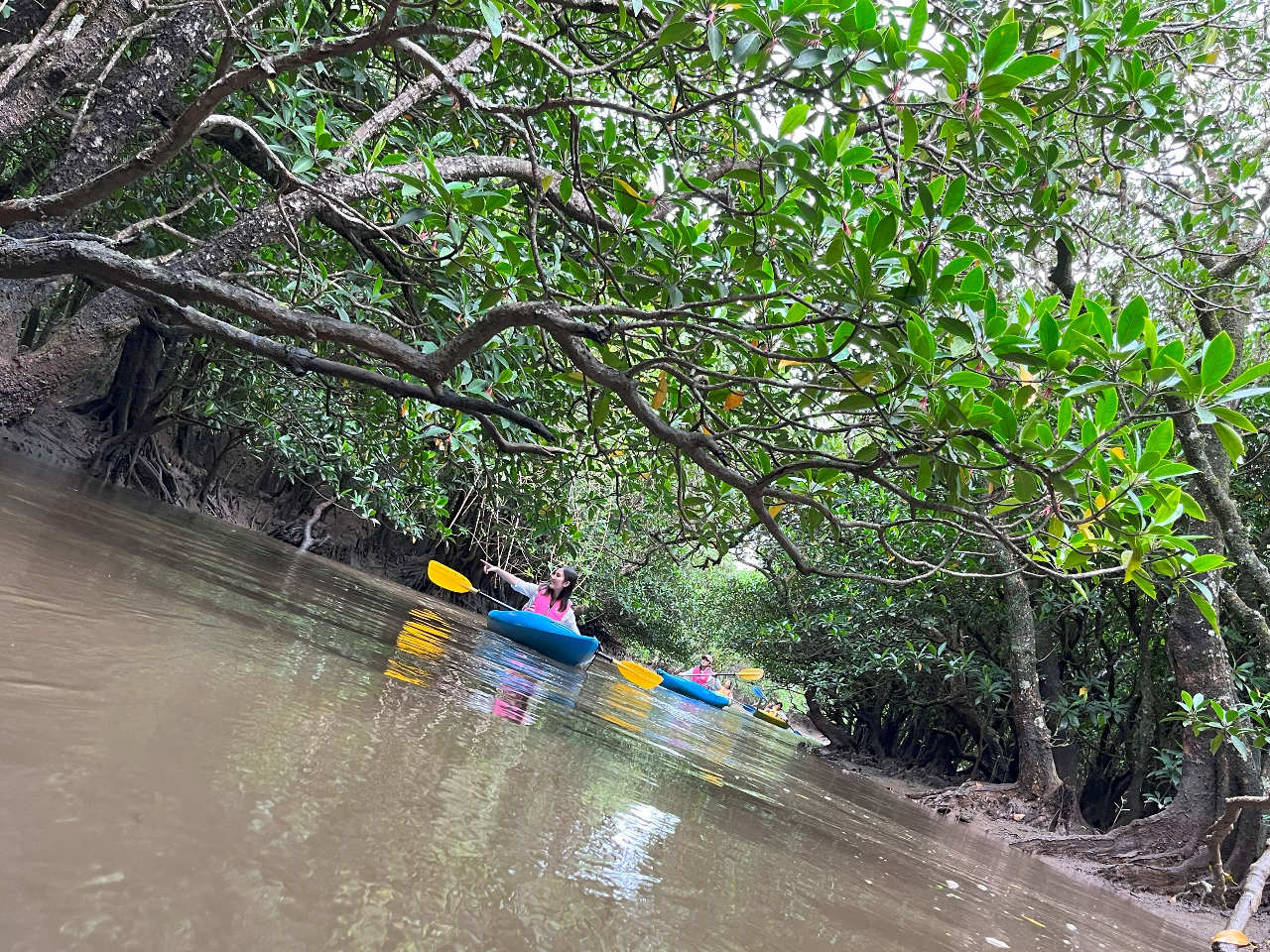カヌーに乗り込み、プライベートガイドならではのマングローブ林の迷路の中へ!!