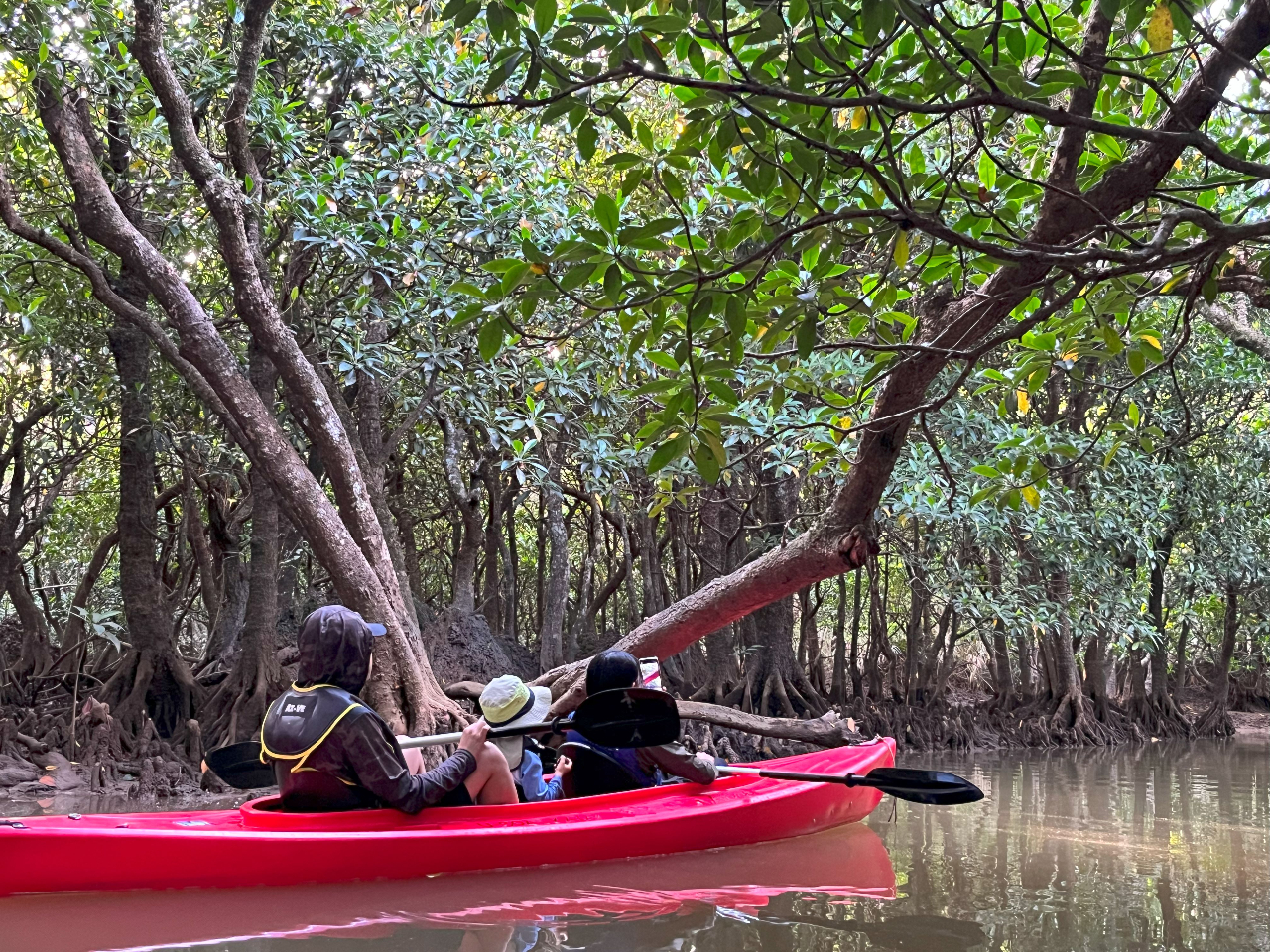 小さなお子様も大きめのカヌーでみんな一緒に!