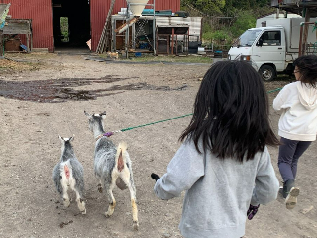 ñvǑ͂€orЂƂ̂U^C