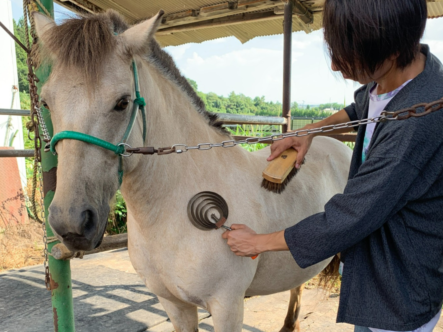 �n�ƈꂩ��ӂꂠ����v���O������