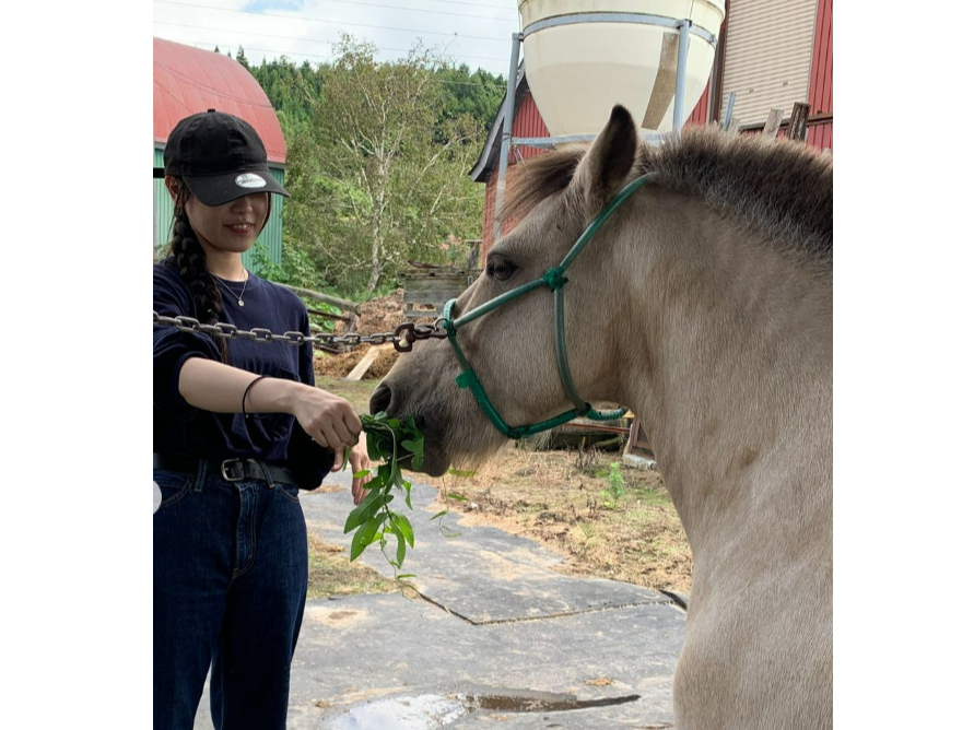 ���S�҂ł����S���Ĕn�Ƃ̎��Ԃ����y���݂��������܂���