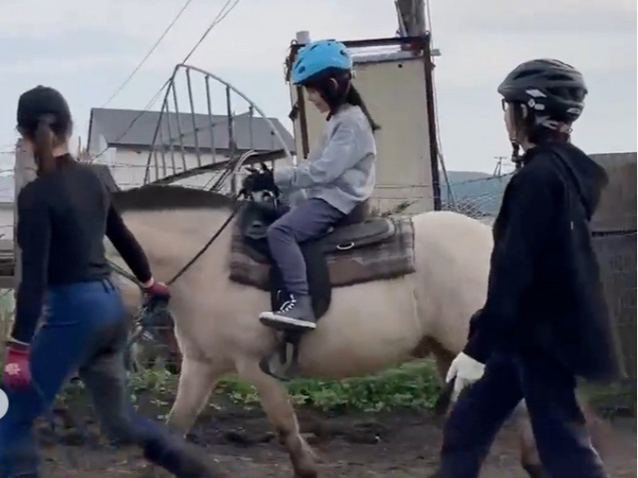 ���q�l�ł��Q���\�ł��I