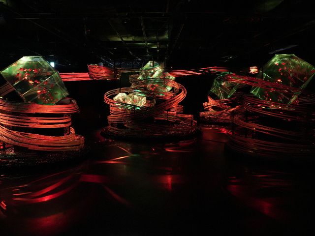 刻一刻と色彩が変化する「金魚の石庭」唯一無二の没入空間をお楽しみください