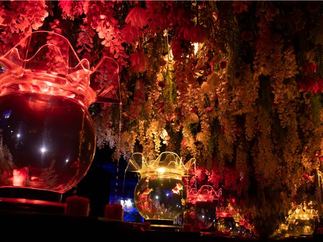 花と金魚の共演「花舞 HANAMAI」も秋色に染まる