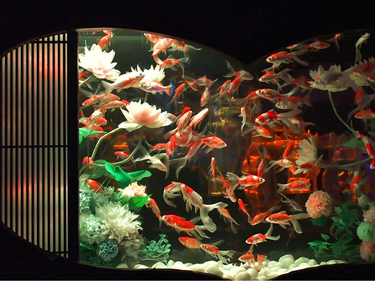 uFlower Aquarium Gala `ƉԂ̍ʓW`vڃE ~܍ʋ