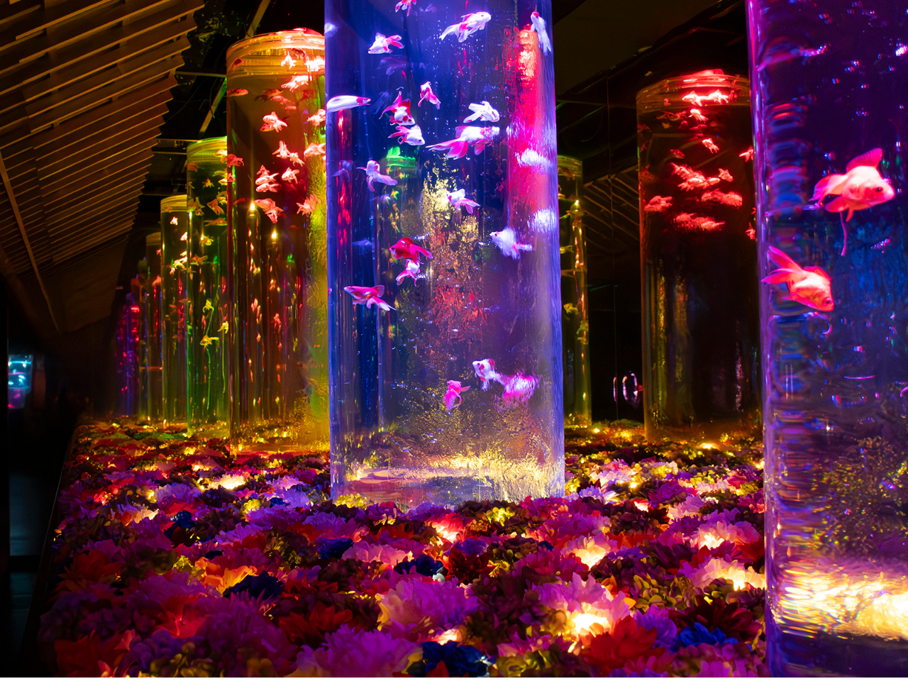 �ԂƋ����̋���