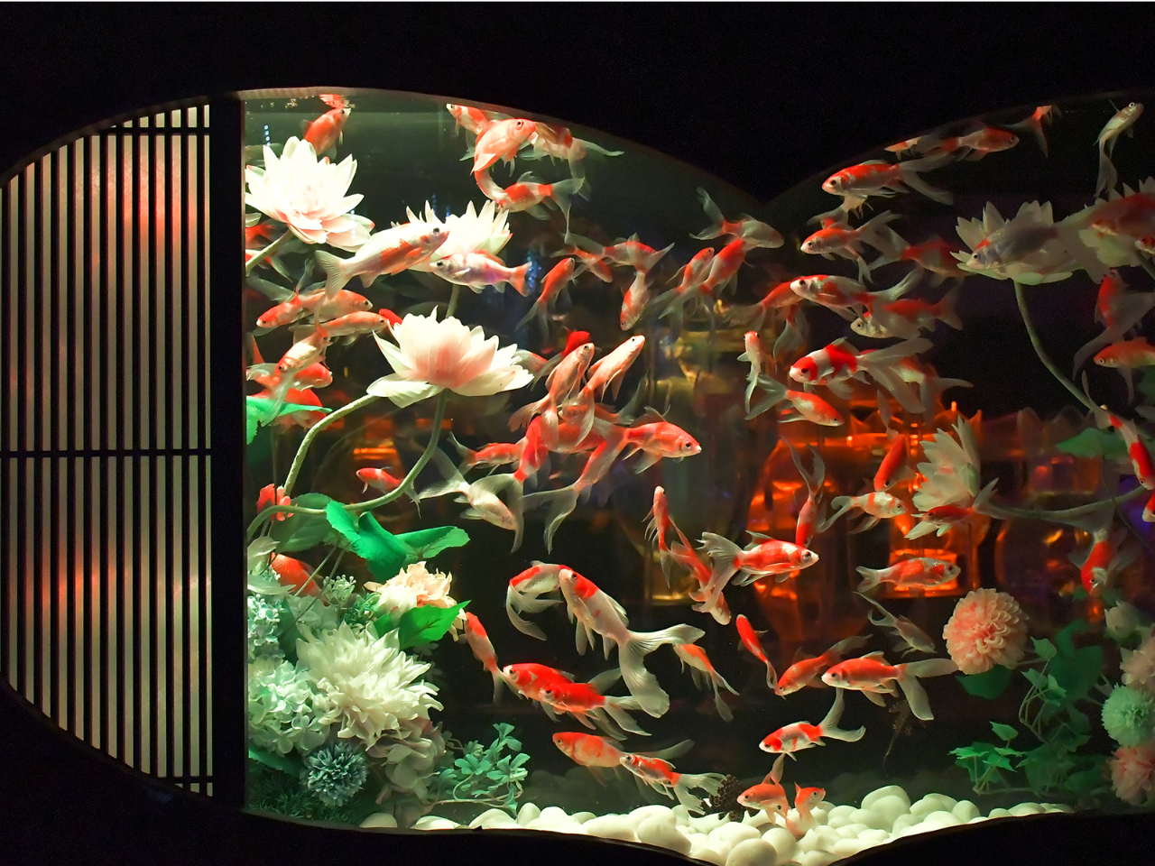 �Ԃ̊Ԃ��������x��u���ڃ��E���v