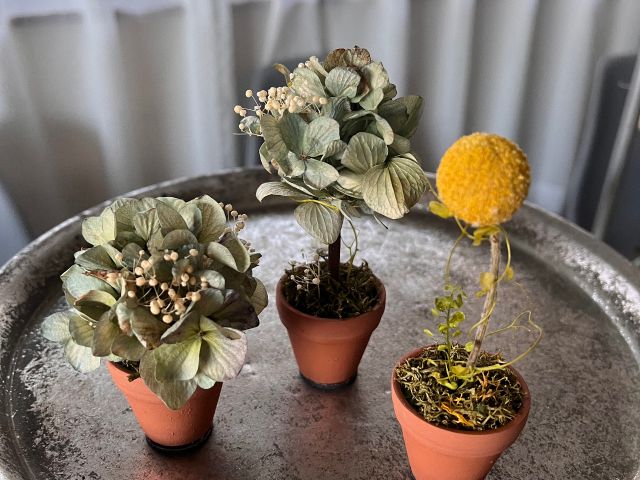 小さな植木鉢