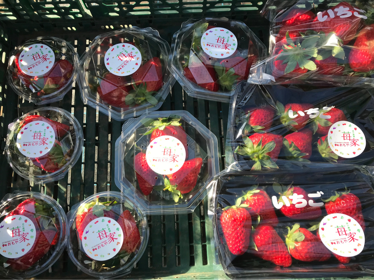 川崎×いちご狩り】strawberry house おもや 駅近！！＜梶が谷駅より