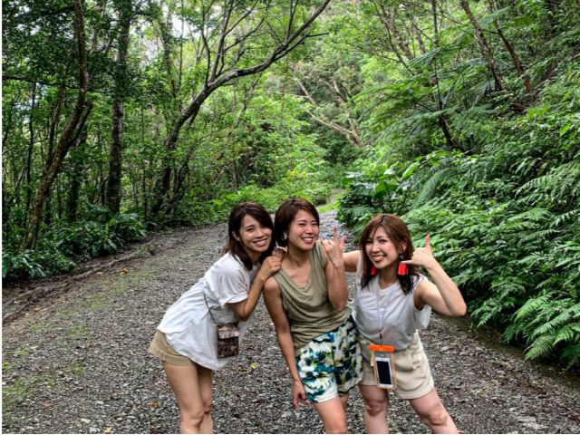 金作原原生林ツアー