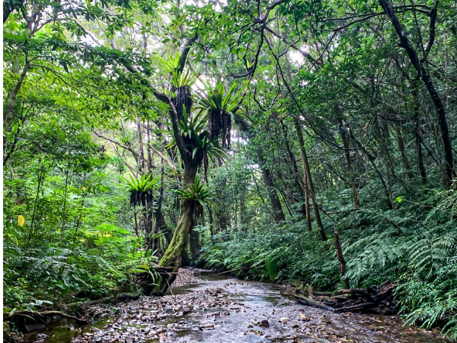 知られざる秘境パワースポット