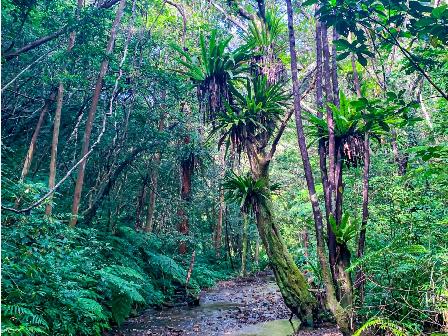 知られざる秘境パワースポット
