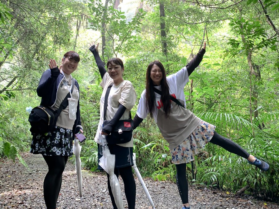 金作原原生林・ヒカゲヘゴ前