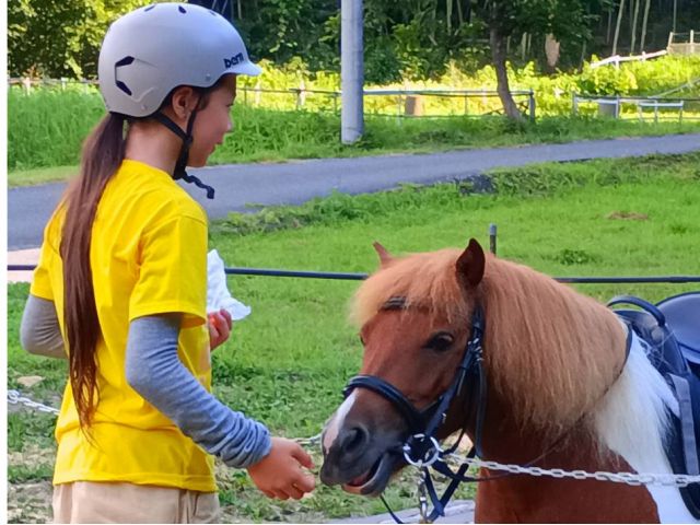 ポニーの乗馬後のお礼エサやり♪(乗馬はオプション)