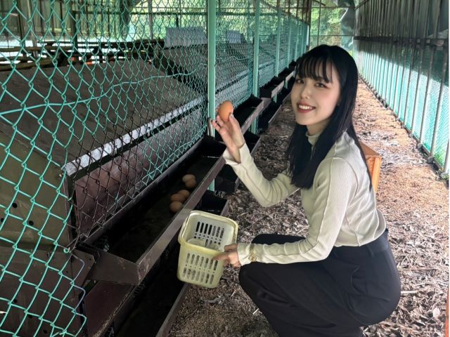 卵拾い体験。産みたての卵は温かいです。