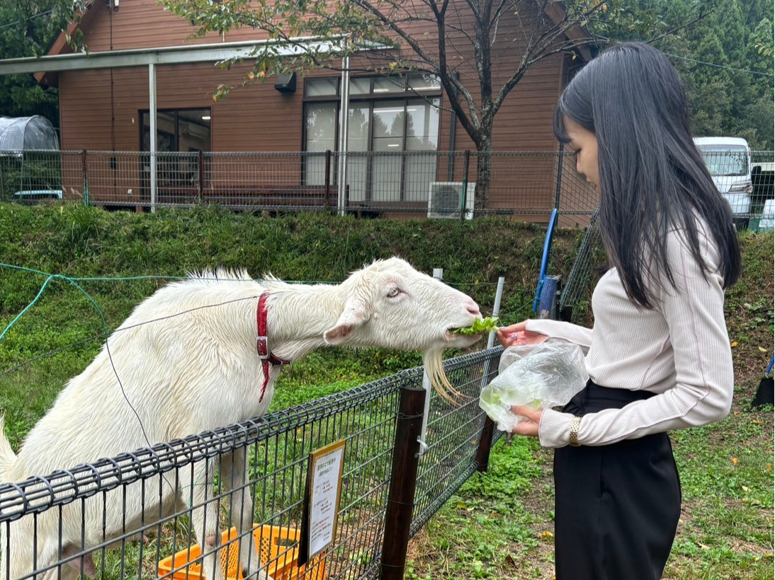 M̂ӂꂠ̌BGTĒǂȂĂˁB