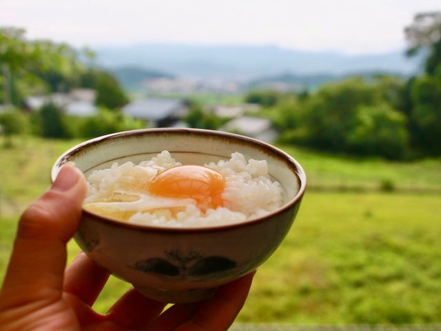 薪を燃やし釜戸炊いたお米は粒が立っていて非常に美味しいです。
