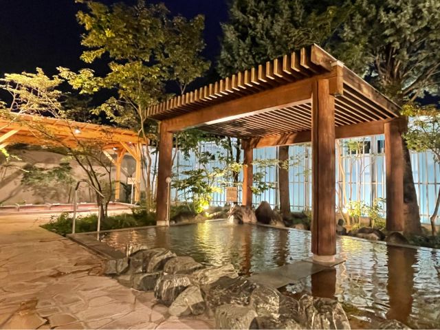 天然温泉の露天風呂・寝ころび湯・ つぼ水風呂(女湯)・石水風呂(男湯)・ロウリュサウナ