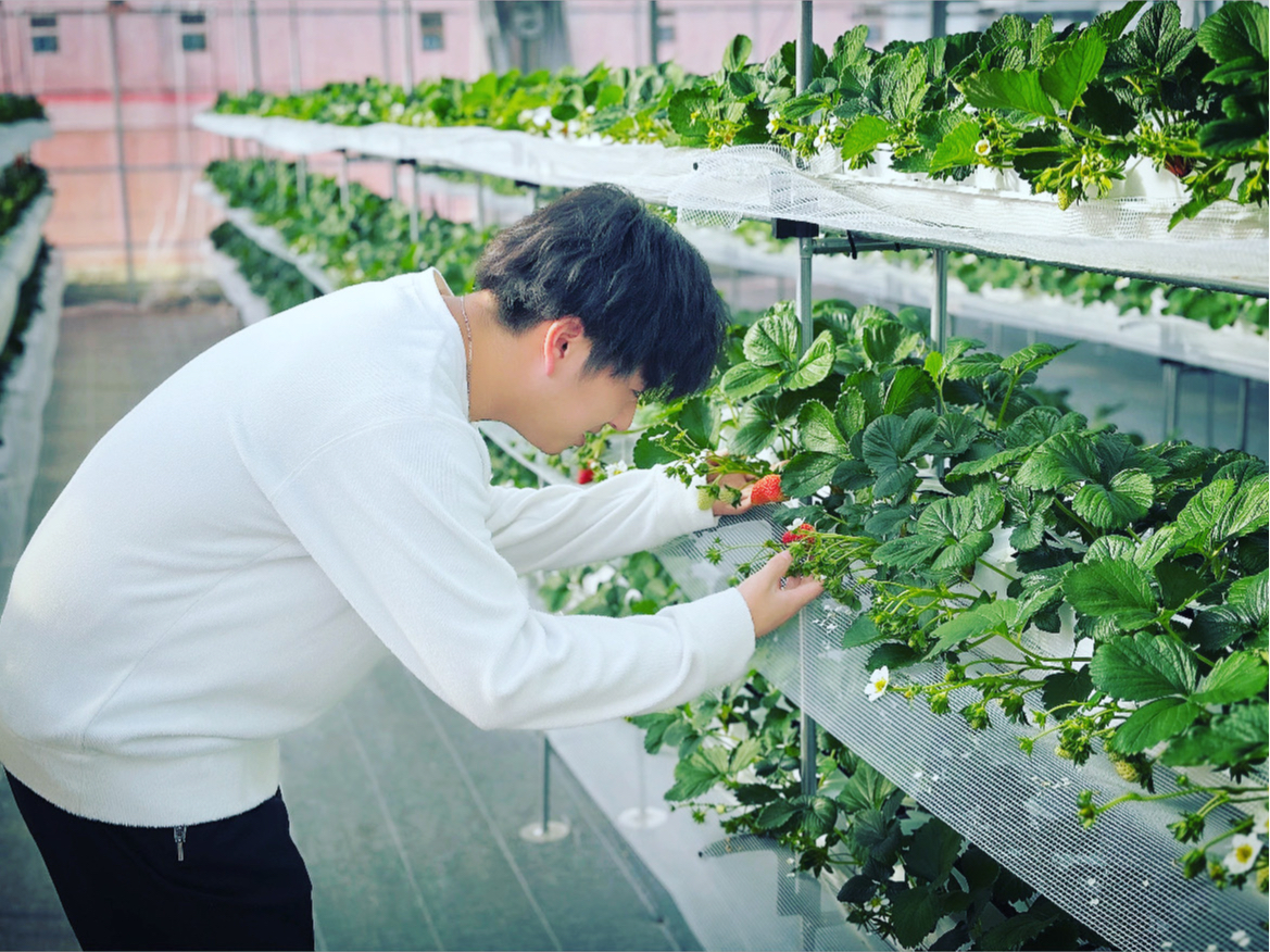 2024年NEW OPEN♪ 【45分いちご狩り食べ放題】 車いす・ベビーカーで...