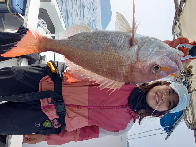 タイラバで真鯛を釣り上げた