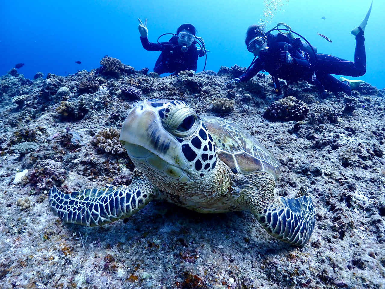 �E�~�K���ɂ��o�����邩���I