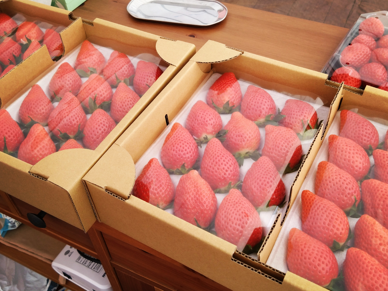 Jɍꂽ㎿Ȃ̔̔┭ȂǂĂ܂I