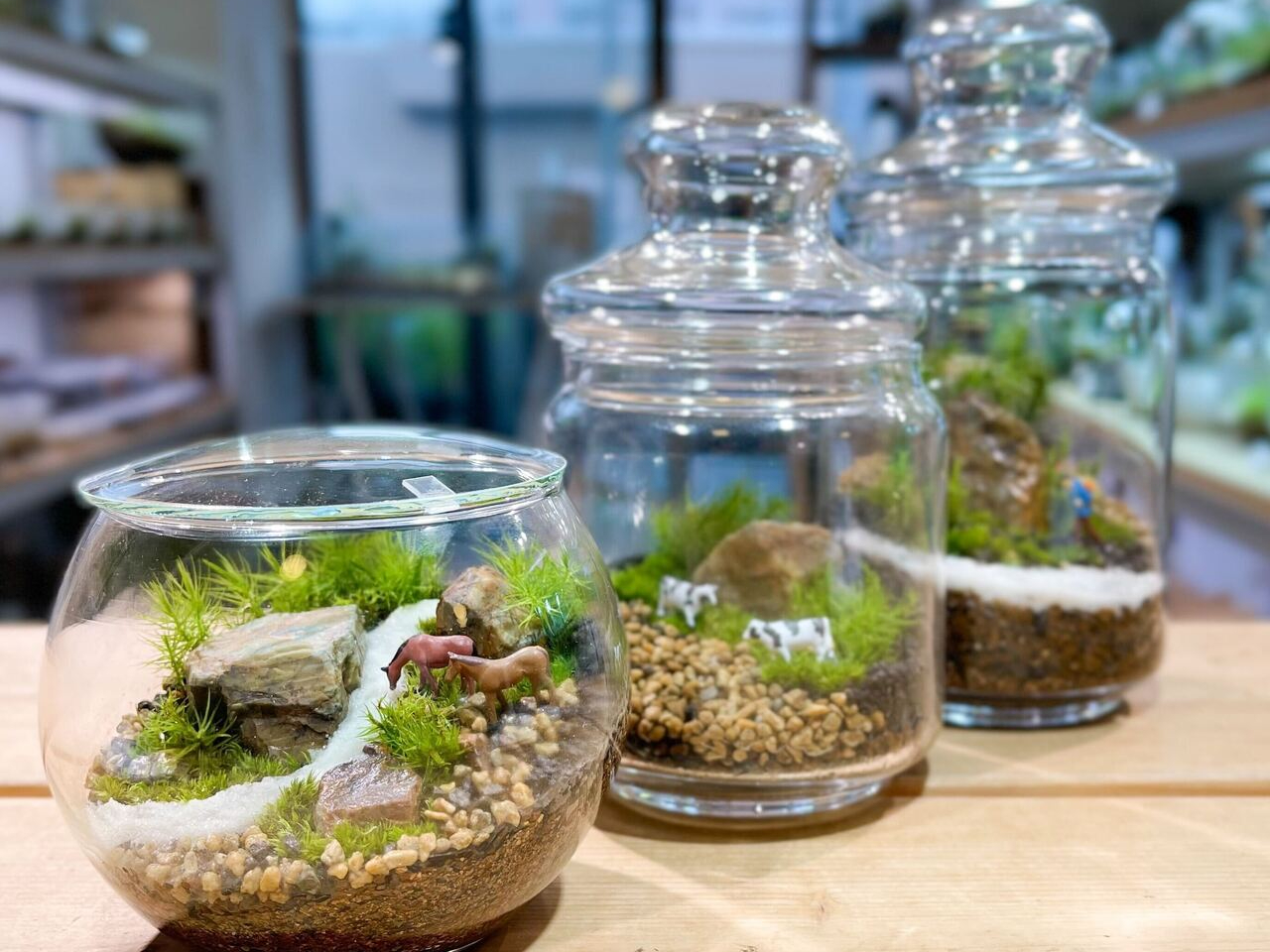東京・文京・後楽園】ガラス瓶で作る苔のテラリウム（90分